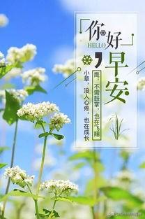 請問(wèn)民間有清明期間互不道早安的習俗嗎？有什么來(lái)歷？