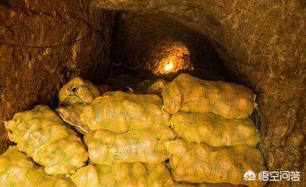 過(guò)年必須吃什么菜？